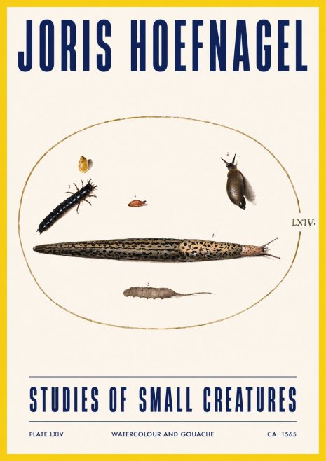 Joris Hoefnagel Plate Lxiv No3 - Póster