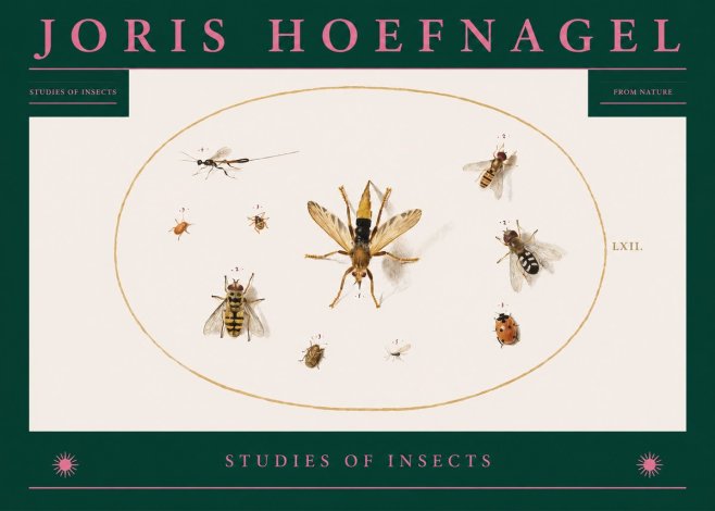 Joris Hoefnagel Studies of Insects IV No2 - Póster