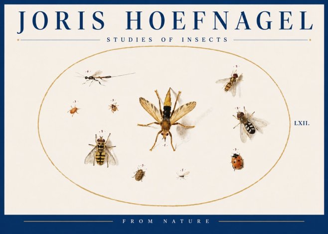 Joris Hoefnagel Studies of Insects IV No4 - Póster