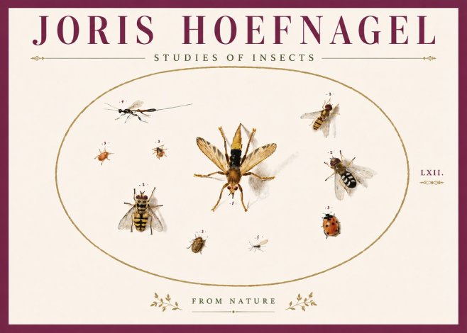 Joris Hoefnagel Studies of Insects IV No6 - Póster