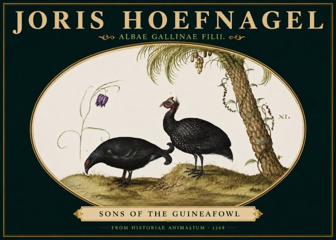 Joris Hoefnagel Albae Gallinae Filii. No5 - Póster