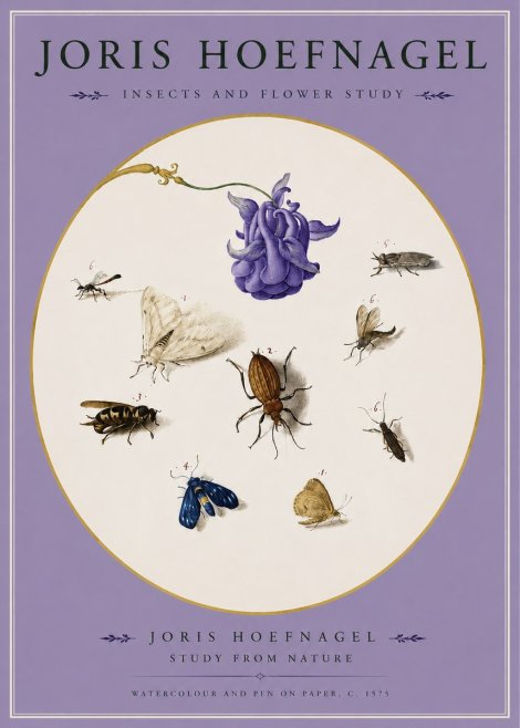 Joris Hoefnagel Studies of Insects and Flowers No3 - Póster