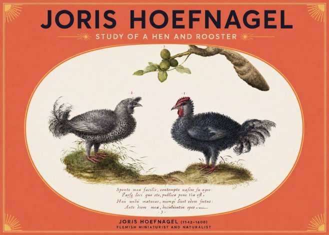 Joris Hoefnagel Study of a Hen and Rooster No3 - Póster