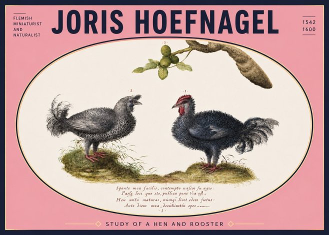 Joris Hoefnagel Study of a Hen and Rooster No5 - Póster
