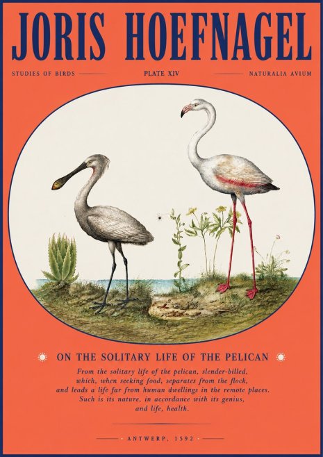 Joris Hoefnagel The Solitary Sanctuary of the Spoonbill and the Flamingo No4 - Póster
