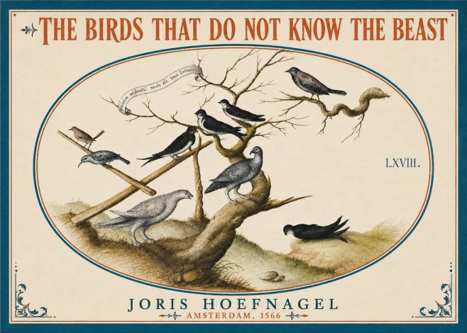 Joris Hoefnagel Birds Study No6 - Póster