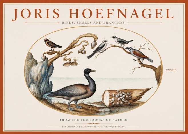 Joris Hoefnagel Birds, Shells and Branches No3 - Póster