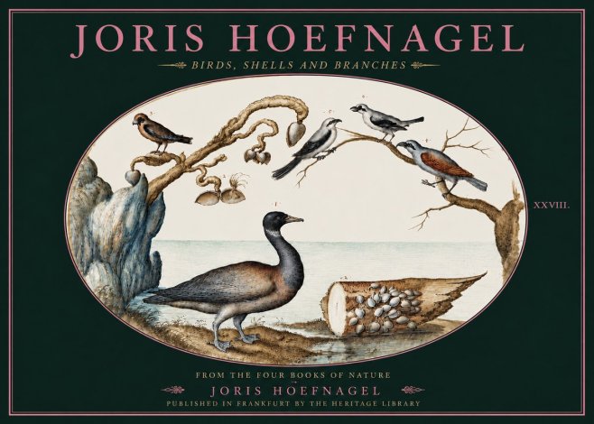 Joris Hoefnagel Birds, Shells and Branches No4 - Póster