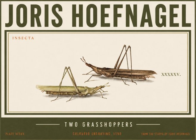 Joris Hoefnagel Two Grasshoppers No3 - Póster