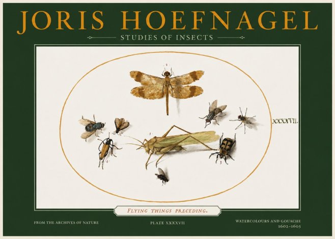Joris Hoefnagel Flying Things Preceding. No2 - Póster