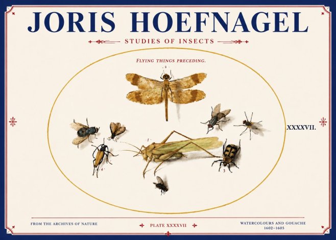 Joris Hoefnagel Flying Things Preceding. No4 - Póster