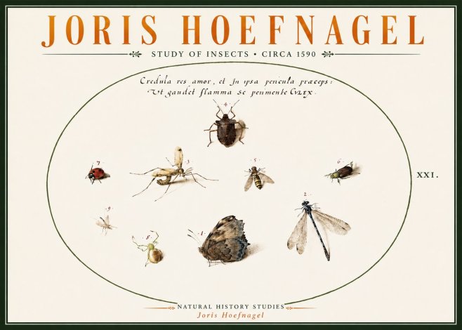 Joris Hoefnagel Study of Insects • Circa 1590 No6 - Póster