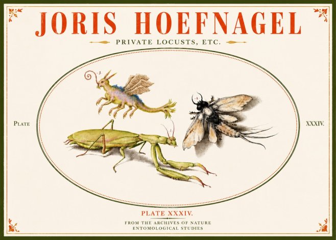 Joris Hoefnagel Privs Locvsta Bovem. No6 - Póster