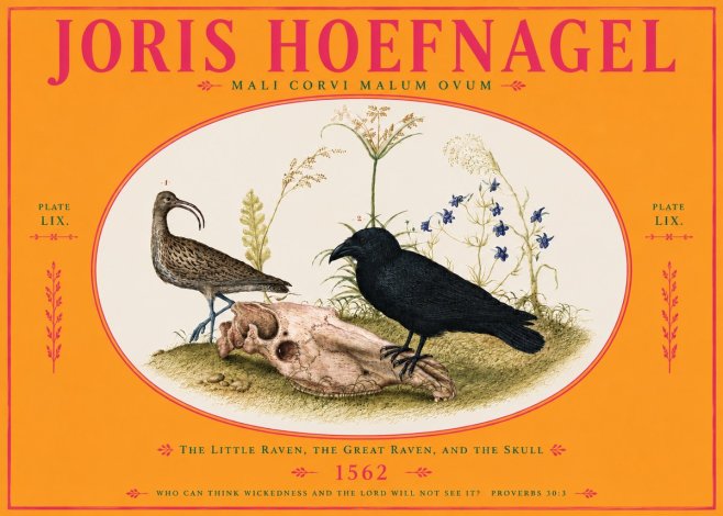 Joris Hoefnagel The Little Raven, the Great Raven, and the Skull No4 - Póster