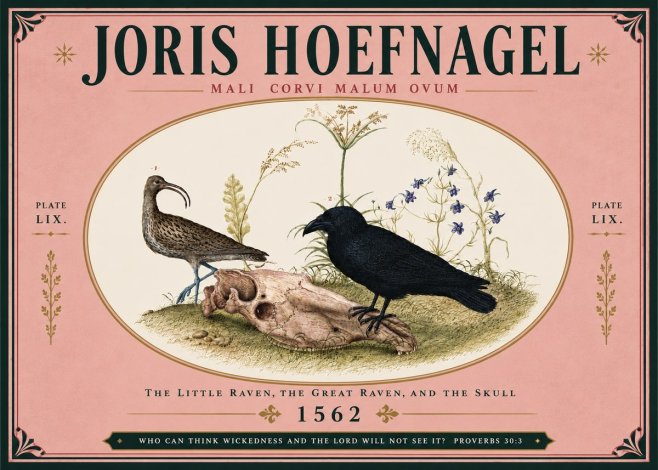 Joris Hoefnagel The Little Raven, the Great Raven, and the Skull No5 - Póster