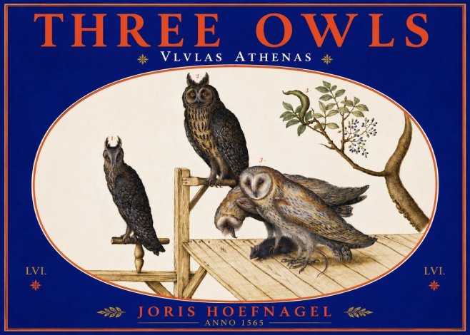 Joris Hoefnagel Vlvlas Athenas No5 - Póster
