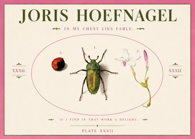 Joris Hoefnagel In My Chest Lies Fable No3 - Póster