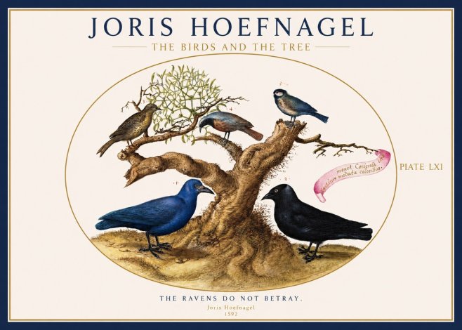 Joris Hoefnagel The Birds and the Tree No1 - Póster