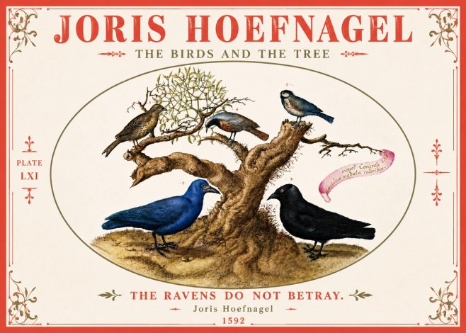 Joris Hoefnagel The Birds and the Tree No6 - Póster