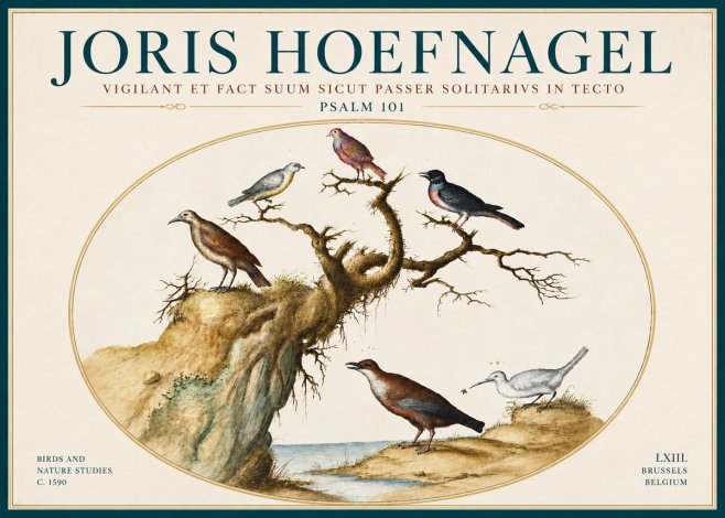 Joris Hoefnagel Vigilant Et Fact Suum Sicut Passer Solitarius in Tecto No6 - Póster