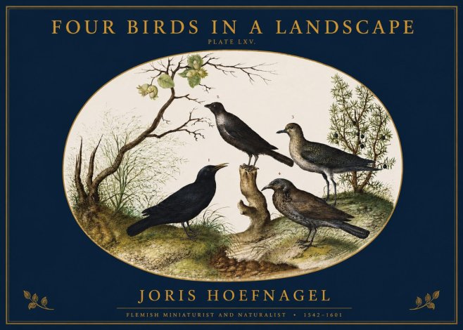 Joris Hoefnagel Four Birds in a Landscape No2 - Póster