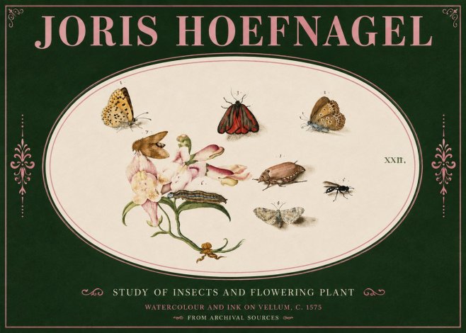 Joris Hoefnagel Study of Insects and Flowering Plant No4 - Póster