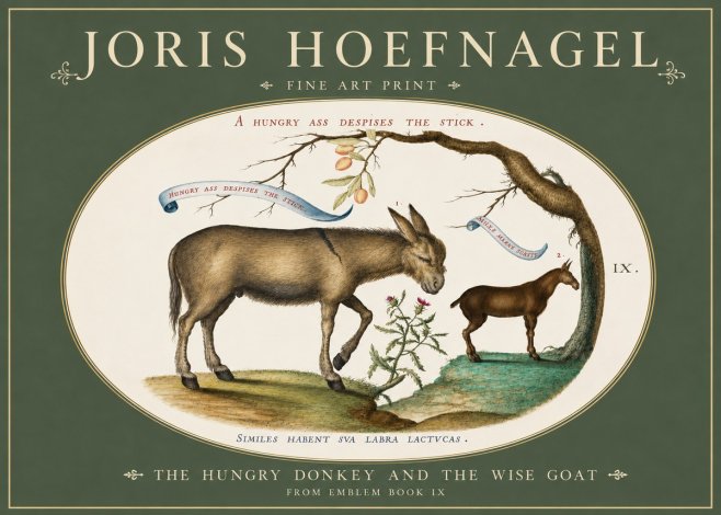 Joris Hoefnagel The Hungry Donkey and the Wise Goat No3 - Póster