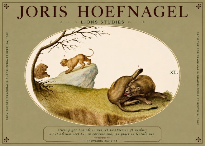 Joris Hoefnagel Lions Studies No4 - Póster