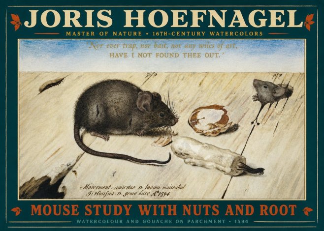 Joris Hoefnagel Mouse Study with Nuts and Root No2 - Póster