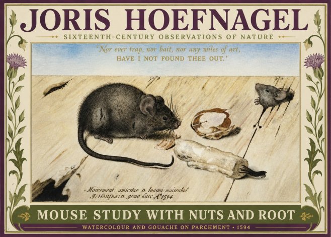 Joris Hoefnagel Mouse Study with Nuts and Root No3 - Póster