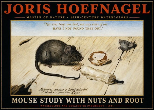 Joris Hoefnagel Mouse Study with Nuts and Root No4 - Póster