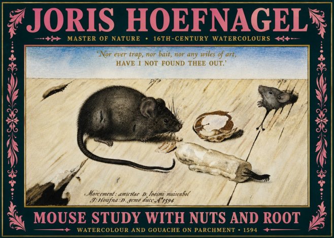 Joris Hoefnagel Mouse Study with Nuts and Root No5 - Póster