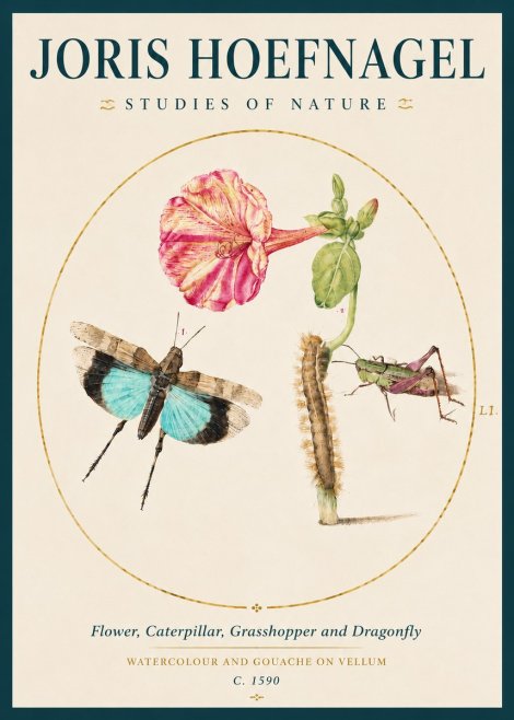 Joris Hoefnagel Plate L1. Studies of Insects and Plants No4 - Póster