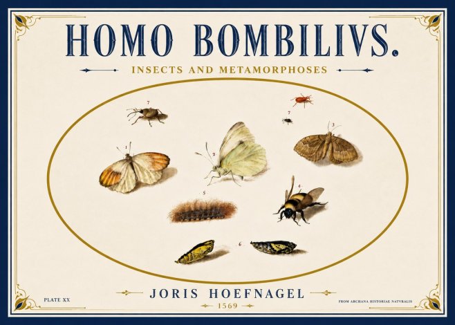 Joris Hoefnagel Homo Bombilivs. Insecta Et Metamorphoses No6 - Póster
