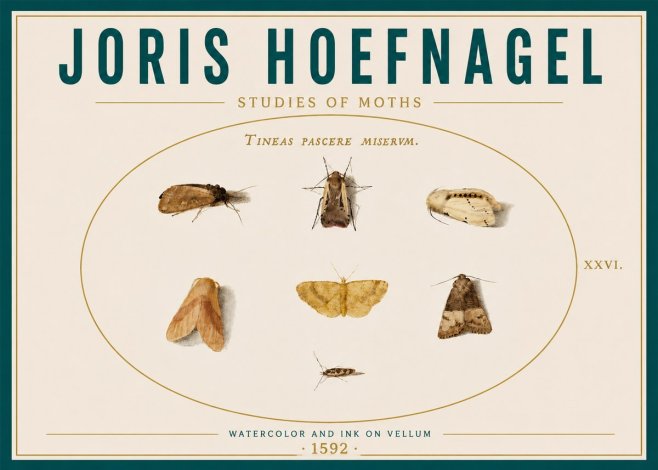 Joris Hoefnagel Studies of Moths II No6 - Póster
