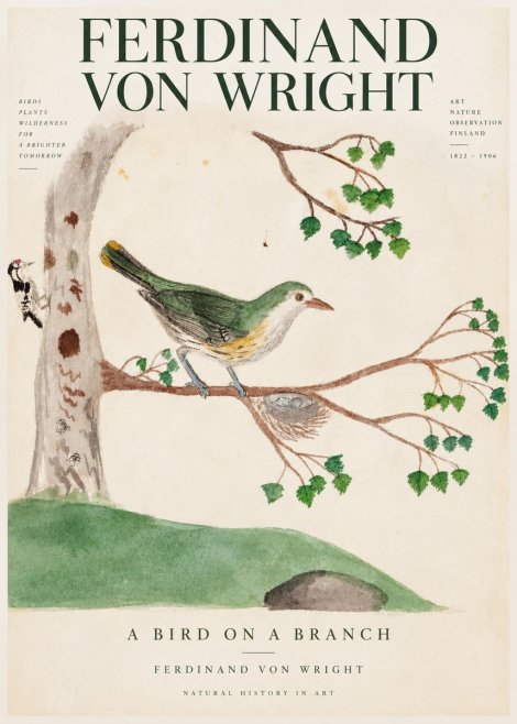 Ferdinand von Wright Green Warbler with Nest No4 - Póster