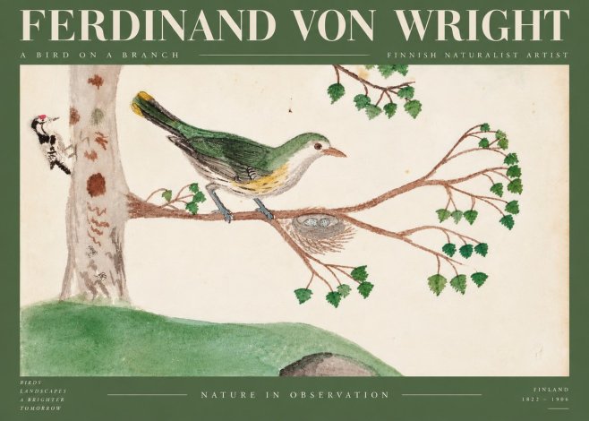 Ferdinand von Wright Green Warbler with Nest No6 - Póster