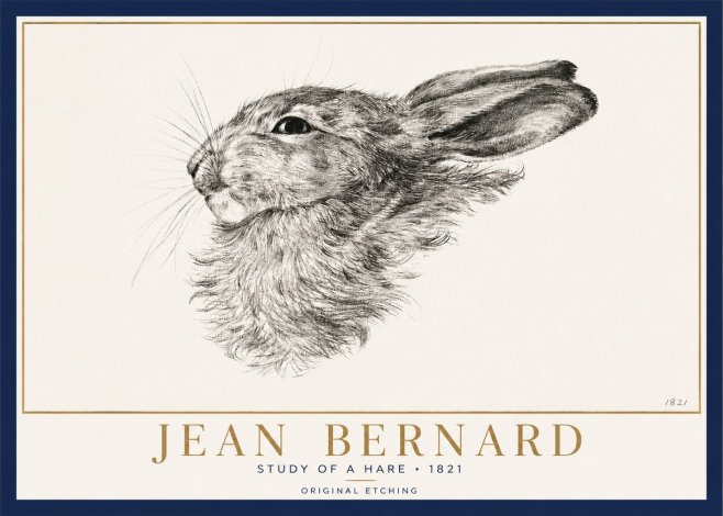 Jean Bernard Study of a Hare No3 - Póster
