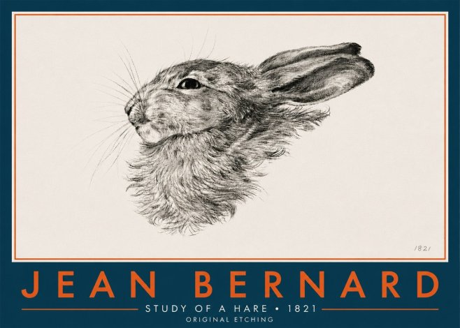 Jean Bernard Study of a Hare No6 - Póster
