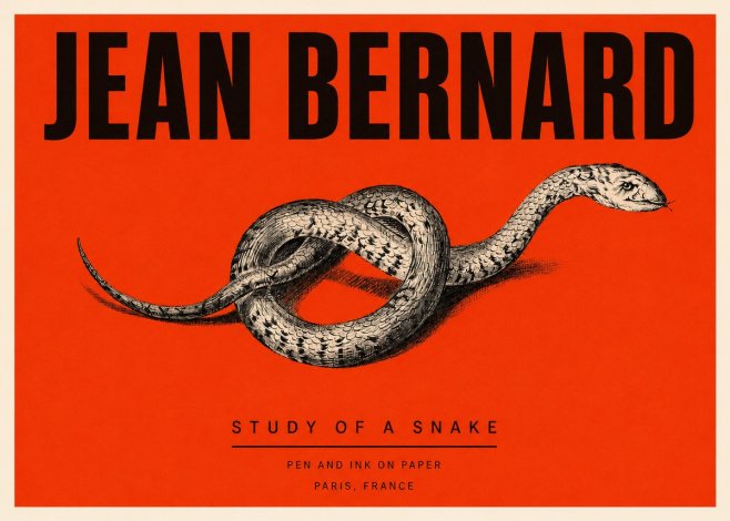 Jean Bernard Study of a Snake No3 - Póster