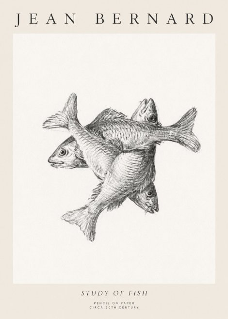 Jean Bernard Study of Fish No1 - Póster