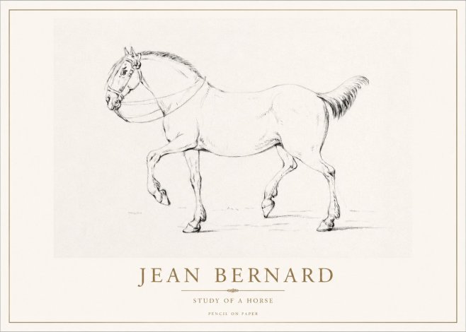 Jean Bernard Study of a Horse XVI No1 - Póster