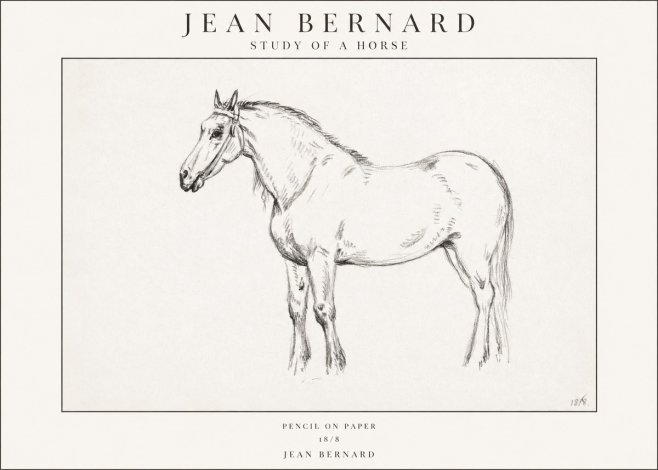 Jean Bernard Study of a Horse XVII No1 - Póster
