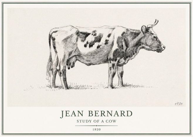 Jean Bernard Study of a Cow XX No1 - Póster