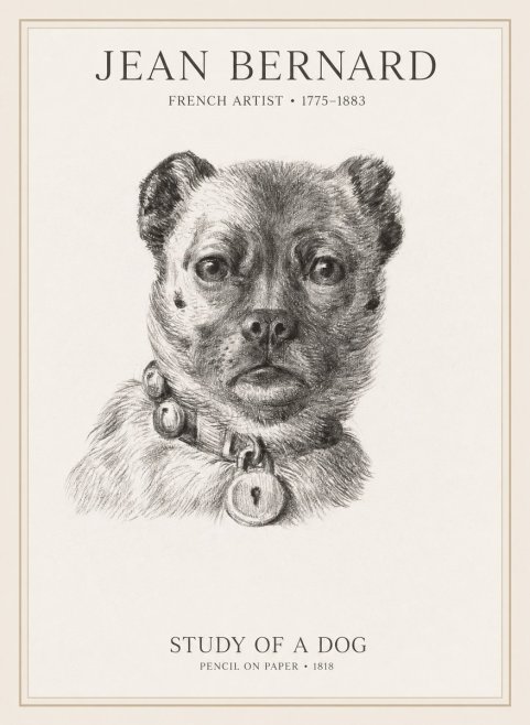 Jean Bernard Study of a Dog IV No1 - Póster