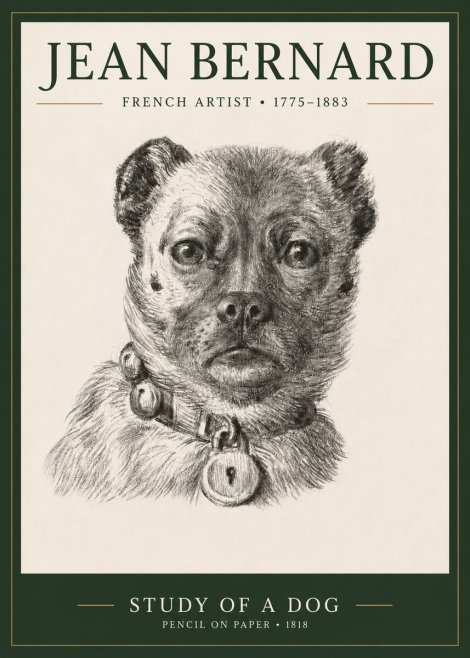 Jean Bernard Study of a Dog IV No3 - Póster