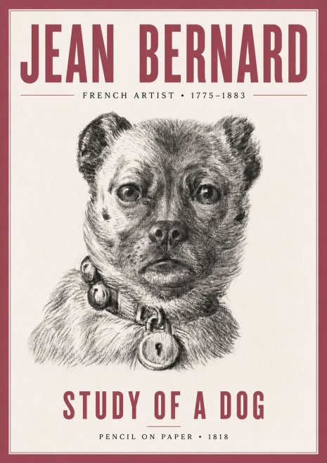 Jean Bernard Study of a Dog IV No5 - Póster