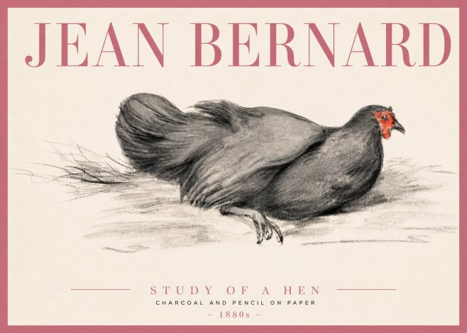 Jean Bernard Study of a Hen No3 - Póster