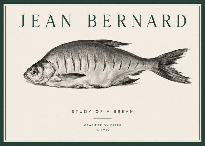 Jean Bernard Study of a Bream No3 - Póster