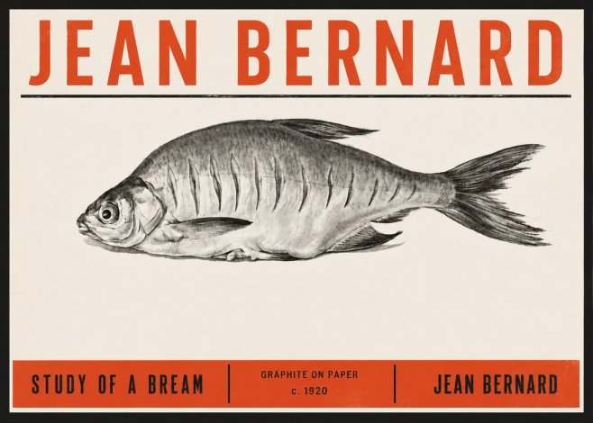 Jean Bernard Study of a Bream No6 - Póster